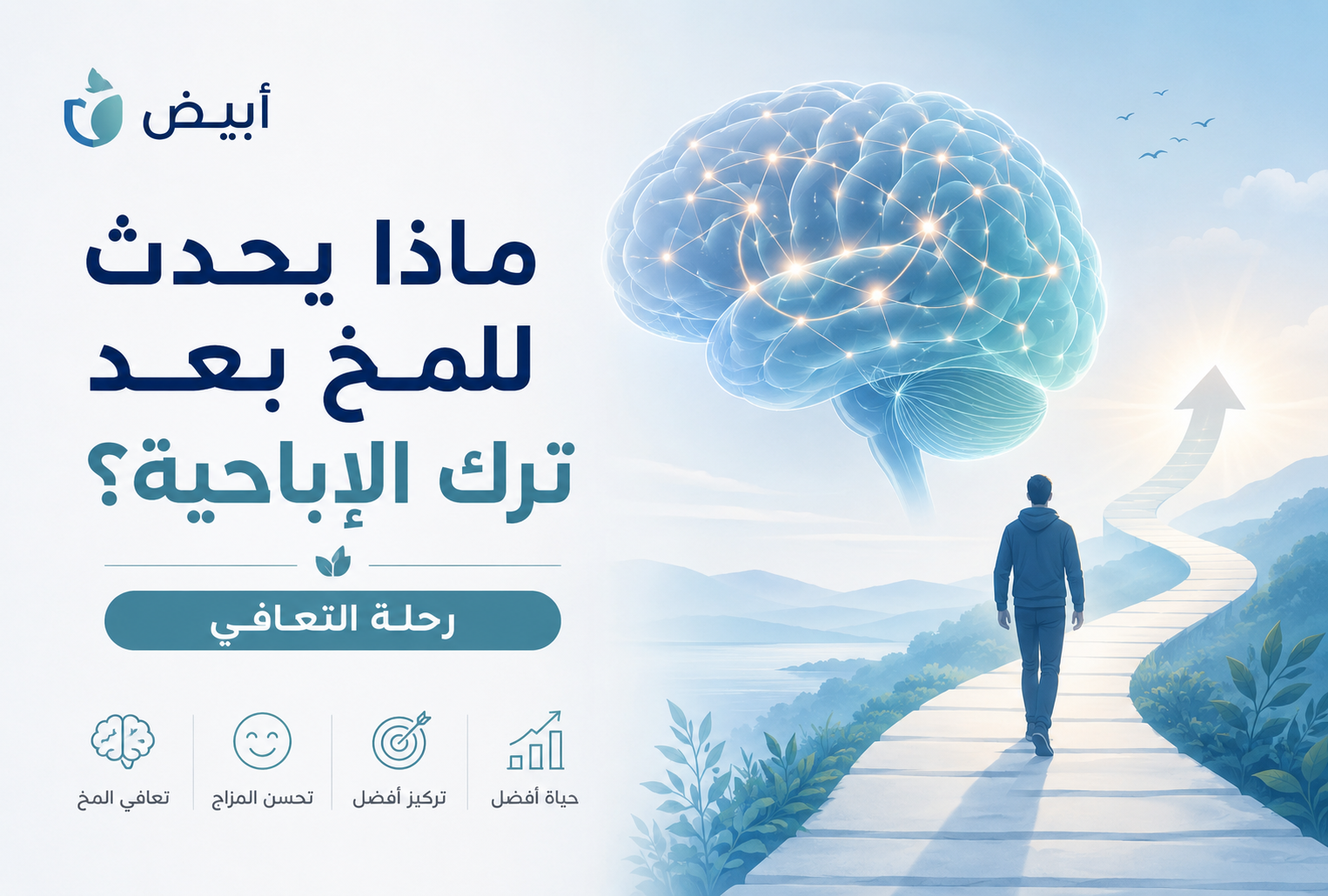 ماذا يحدث للمخ بعد ترك الإباحية